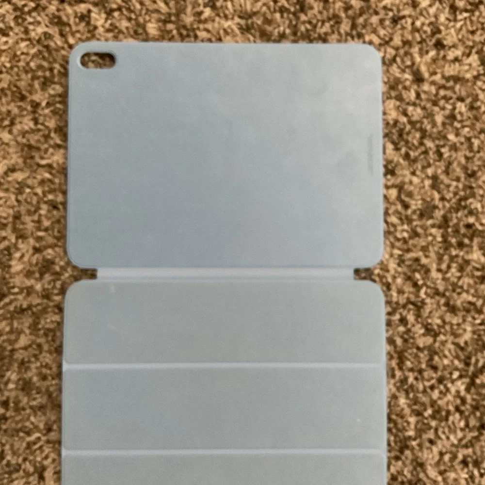 Apple Light Blue iPad Case